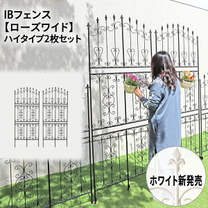 IBtFX [YCh nC^Cv 2Zbg gX n[g N}`X  o Œ ACAtFX K[ftFX K[fjO [Y IxXN 鐫A U b