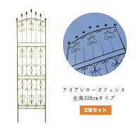 【マラソン期間中はポイント10倍】アイアンローズフェンス ハイタイプ 2枚セット 分割タイプ 高さ220cm …