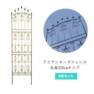 ACA[YtFX nC^Cv 4Zbg ^Cv 220cm gX bREo U o  IxXN N}`X K[fjO ACA KN tFX O 鐫A