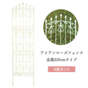 ACA[YtFX nC^Cv 4Zbg ^Cv 220cm gX bREo U o  IxXN N}`X K[fjO ACA KN tFX O 鐫A