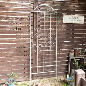 S[WX ACAtFX 1Pi gX N}`X 180  o KN Œ ACA K[fjO [Y IxXN 鐫A U K[ftFX } bREo