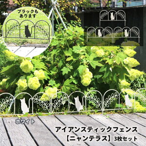 ACAXeBbNtFXyjeXz3Zbg K[ftFX }   tFX ACA | S Ȉ Ԓd L Ȉ ȒP  ~jtFX  K[f  K[