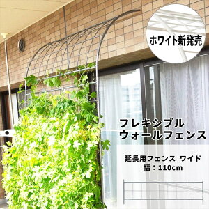 tLVu EH[tFX Chp[c 1 O[tFX O[J[e Ċ| gX  eBX bREo tFX v^[ o U K[f A