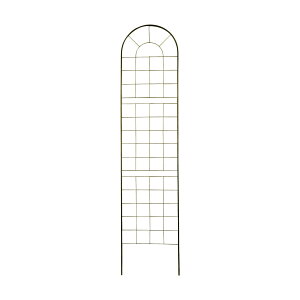 NVbNnCtFX nC^Cv ^Cv 2Zbg gX K[fjO N}`X KN IxXN ACAgX tFX O  K[fjO K[ftFX 50cm 