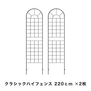 NVbNnCtFX nC^Cv 2Zbg ubN gX Y ⋭ IxXN KN tFX O d؂ ͂ Ԓd  Eh~ ybg O  K[ftFX gXtFX 