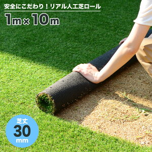 lH [ 1m×10m ŏ30mm Ő R A lHŐ diy [^Cv |G` ͂ ͂ O   x_ oRj[ eX K[fjO K[f  q yb