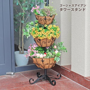 39Ή S[WXACA ^[X^h v^[ 񂹐A K[fjO AeB[N t[ Mtg  V@RR@3A