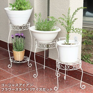 39Ή S[WXACA t[X^h3TCYZbg v^[ 񂹐A K[fjO AeB[N t[ Mtg 