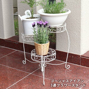 39Ή S[WXACA 3At[X^h v^[ 񂹐A K[fjO AeB[N t[ Mtg 