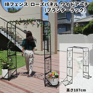 IBtFX [Ypl ChA[` v^[bN 187cm A[` K[fA[` ACAtFX K[ftFX ډB ACA KN IuWF pl   O DIY K