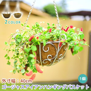 ハンギング バスケット おしゃれの人気商品 通販 価格比較 価格 Com