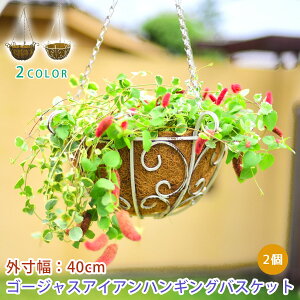 ハンギング 鉢の人気商品 通販 価格比較 価格 Com