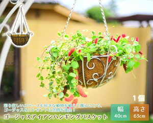 S[WXACAnMOoXPbg 1Pi nMO oXPbg ݂  v^[ 40Z` k 񂹐A   z_[   K[fjO |  vg|bg 