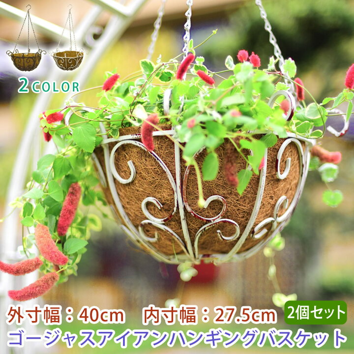 楽天市場 セール開催中 39対応 ゴージャスアイアンハンギングバスケット 1個単品 ハンギング プランター 観葉植物 寄せ植え 吊り下げ ウォール ハンギング ガーデニング アンティーク フラワー ギフト おしゃれ Gab 300 ガーデン ガーデン 楽天市場店