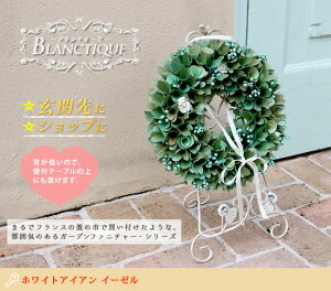 zCgACA C[[ 50cm 27cm X^h plX^h  K[fC[[ EFJ{[h NX}X  EFfBO G X Ŕ   O  JtF 