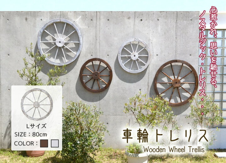 楽天市場】【マラソン期間中は15%OFFクーポン】車輪トレリス Lサイズ 1 