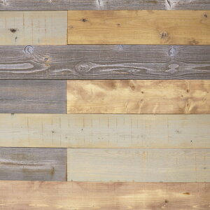 ؐǓ\tpl JtFX^Cpl i`^Cv 10Zbg ǖ tH[ DIY ǎ   V[^Cv y  ʃe[v csp-1180n-10