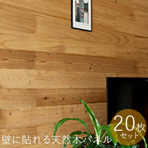 _y[WEeB[Xv[t^@ǖ Ebhpl ySOLIDECO ǂɓ\VR؃pl 20g SLDC-20Pz yz [DIYɕsłyɖ{iIȃEbhpl̕ǂEH[