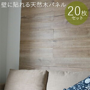 _y[WEeB[Xv[t^@ǂɓ\Ebhpl ySOLIDECO ǂɓ\VR؃pl 20g SLDCPR-20P v~AV[Yz yz [ŕǂtH[ ȕǖʃp