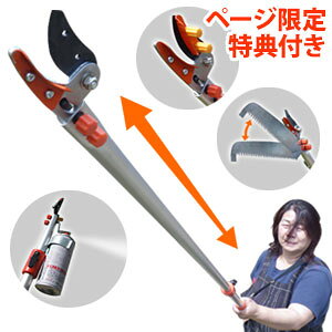_y[WEeB[Xv[t^@}؂΂݁yLk}Xv[nT~ ~h^Cv KC-4306z yz