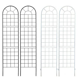 X`[tFX yNVbNtFX220 nC^Cv 2g YB016H-2Pz ACAtFX K[ftFX K[fjOtFX