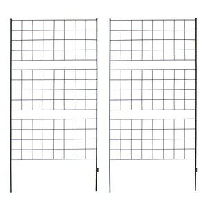 _y[WEeB[Xv[t^@ACAtFX 176 Ot 2g IF-GR023-2P mK[ftFX  ubN X`[tFXn