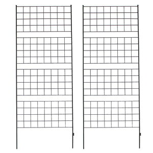 _y[WEeB[Xv[t^@X`[tFX yACAtFX 226 Ot 2g IF-GR024-2Pz CeAtFX eBX gX