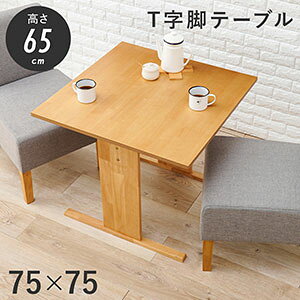 _y[WEeB[Xv[t^@yzy_CjOe[u SH-8639z` 65cm [^Cv VR ؖ _CjO rO i`