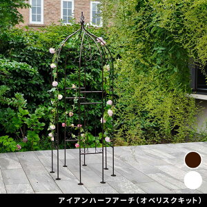 yACAn[tA[`iIxXNLbgj IF-N0035z