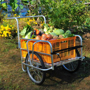 yA~܂肽݃J[ TAN-584bJƁz