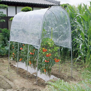 _y[WEeB[Xv[t^@g}g̉ NT-27 yz m^rj[nEX 1 J悯nEX  _ƃnEX ȒPݒu g}g Ė ؍͔| 0.9؁n