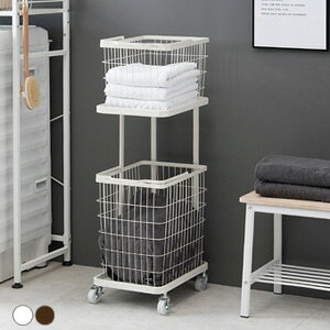 _y[WEeB[Xv[t^@h[bN VO^Cv KR-3945 yz mXh[bN 2ih[oXPbg VO IV JSn