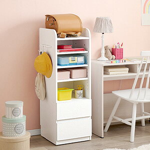 _y[WEeB[Xv[t^@hZbN B^Cv RCC-1641