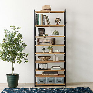 \ページ限定・ティースプーン付/ ハイタイプ シューズラック 幅65 可動棚9段 MSS-6717