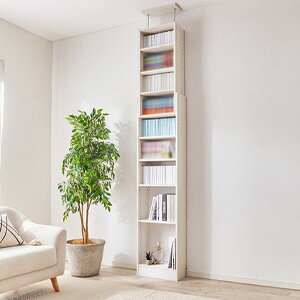 _y[WEeB[Xv[t^@˂ǖʎ[bN 45 RCC-1558