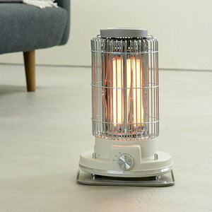 y2025N10VzAPIX gJ[{q[^[ ACH-490