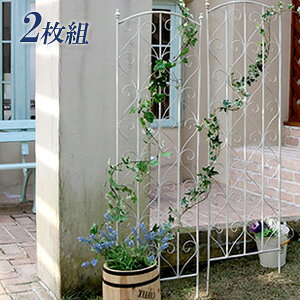 AeB[N gX yACAgX H147 2g zCg SPL-8923WHTz mn ACAtFX K[fjOtFX [Y ACAeBX K[fgX