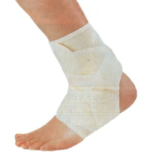 y݌ɗLzpT|[^[y\{T|[^[@^yʃ^Cvz̒ʔ