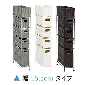 yEizyh[`FXg 15.5cm o4i RAN-2407z Ԏ[bN Ԏ[`FXg X h[bN gC[bN ʏ