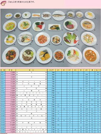 【代引不可】イワイサンプル　糖尿病関連　「主菜2」1式セット/食品サンプル/栄養指導用フードモデル