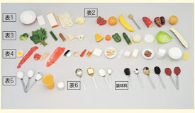 【代引不可】イワイサンプル　腎臓病食　指導用モデル　＜磁石・無＞　1式フルセット/食品サンプル/栄養指導用フードモデル