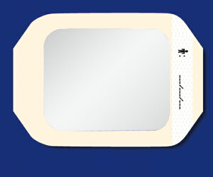 \x^@eK_[TMRtH[gtBhbVO 100×120mm 1i50j@1686@(8-1895-06)