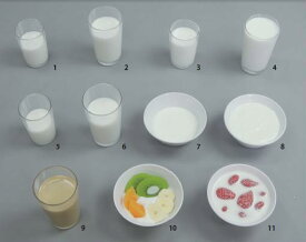 【代引不可】イワイサンプル　糖尿病関連　「乳製品グループ」1式セット/食品サンプル/栄養指導用フードモデル