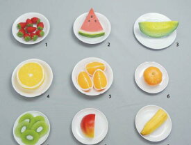 【代引不可】イワイサンプル　糖尿病関連　「果物」1式セット/食品サンプル/栄養指導用フードモデル