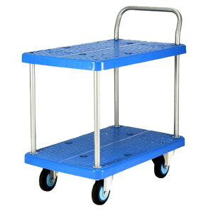 Jic[@C(Y)V[Y@e[u2iԁ@PLA250Y-T2@250kg܂Łysz@Ezs