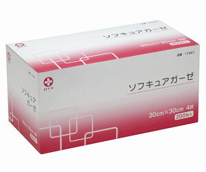 ���\���@�\�t�L���A�K�[�[�@30cm×30cm�@4�܁@17347