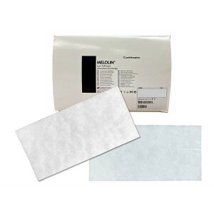 X~Xlt[@K[[(ŋ)@10×20cm@75@66974943