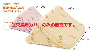 y|Xgz{G[@􂦂tBbgOpNbV2pyJo[̂݁z1312-30@30cm^Cvysz