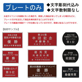 【お急ぎ対応OK】名入れ プレート 文字彫刻無料寄贈プレート 名入れ無料 金属 絵画 ネームプレート 寄贈 名入れ プレート 卒業 卒園 オーダー 竣工 創立 贈る 贈与 寄付 進呈 贈呈 記念 裏面シール式