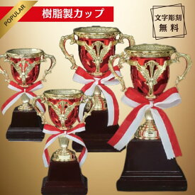 優勝カップ 名入れ トロフィー 優勝 カップ サッカー 景品 ゴルフ 表彰 記念 記念品 景品 大会 参加賞 運動会 行事 スポーツ ゴルフコンペ 野球 サッカー フットサル 水泳 文字彫刻無料 表彰カップ 名入れ表彰 サイズ 彫刻可能